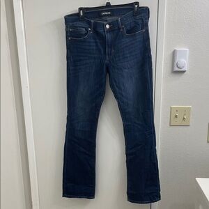 Express Indigo Denim Pants